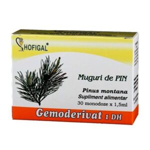 HOFIGAL Gemoderivat Muguri de pin