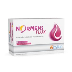 Normens Flux