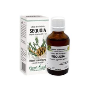 Extract din mladite de SEQUOIA