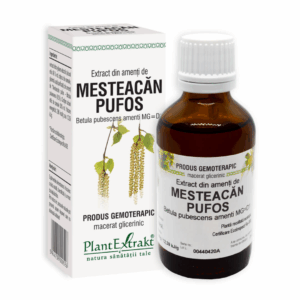 Extract de mesteacan pufos
