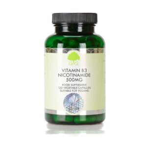 Vitamina B3 Nicotinamida 500 mg