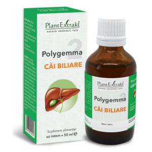 Polygemma 2
